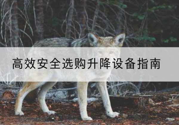 聂拉木升降货梯厂家推荐-*安全选购升降设备指南