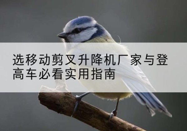聂拉木电动升降机厂家-选移动剪叉升降机厂家与登高车必看实用指南